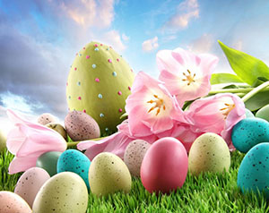 Los Angeles Bail Bond Store Easter