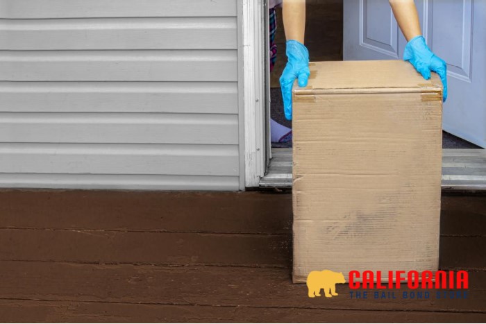 The Ins and Outs of Package Theft