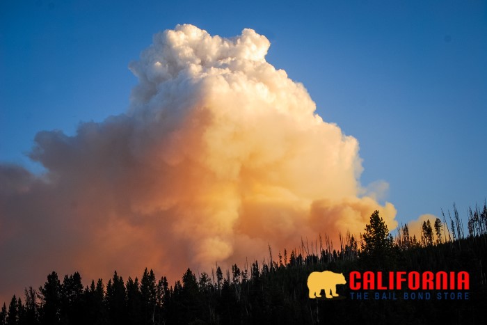 Stay Safe During Wildfire Season