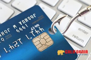 Fraudulent Use of a Credit Card